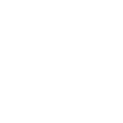 White transp. logo GSA